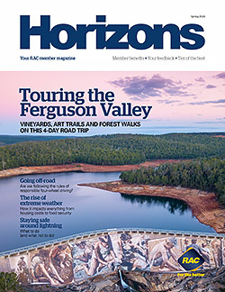 Wellington Dam mural - Horizons spring 2024 edition cover