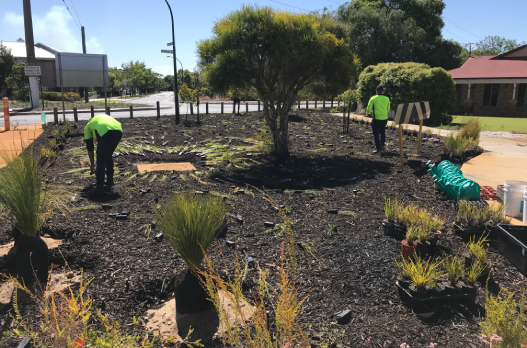 People putting in new landscaping