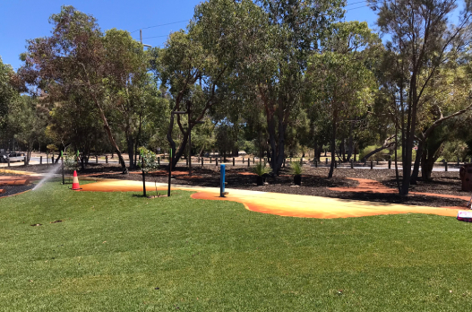 Park with new grass and gardens