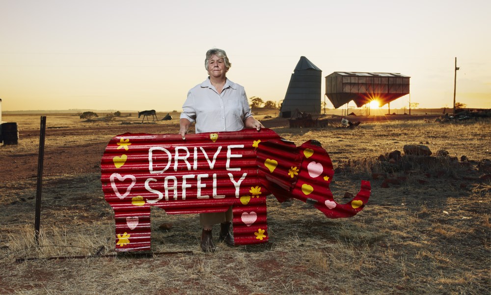 Karen standing with elephant painted with road safety message