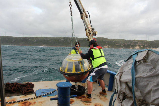 Crews installed a buoy to measure wave conditions off the coast of Sandpatch, near Albany