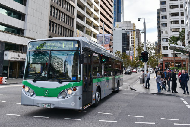 Transperth bus driving in Perth