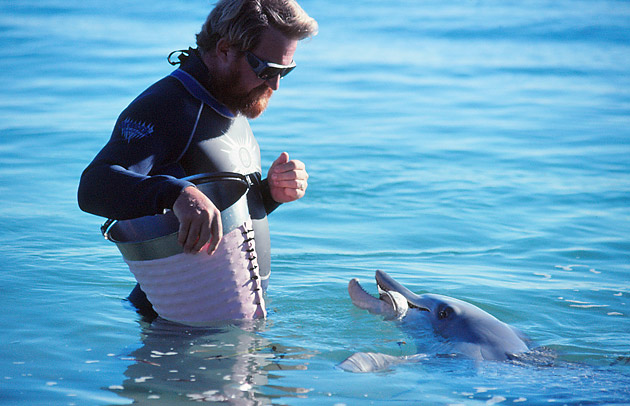 Piccolo offers a live whiting she's caught to a ranger on the beach at Monkey Mia