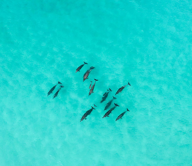 West Beach, Esperance