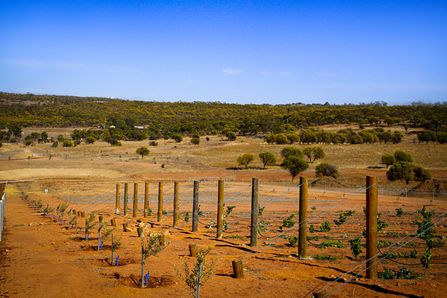 Orchards at Northam Eco Lifestyle Village