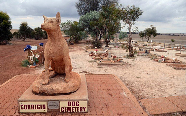 Corrigin Dog Cemetery