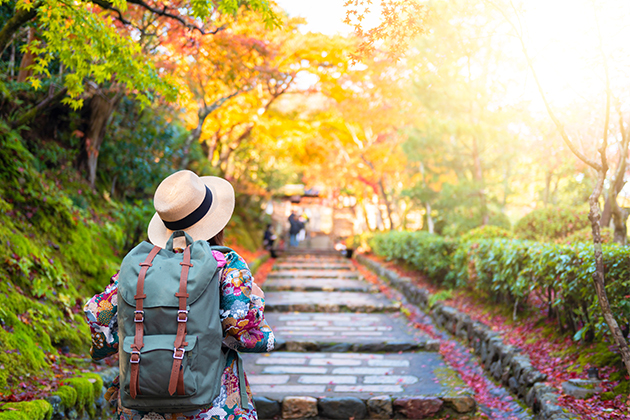 A woman walks through a park during autumn in Kyoto, Japan