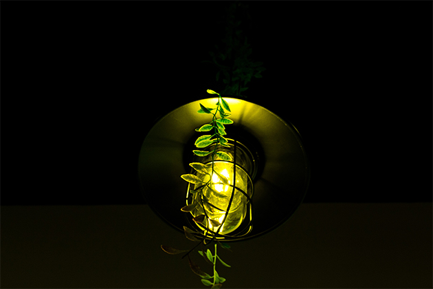 Image of yellow bug lamp