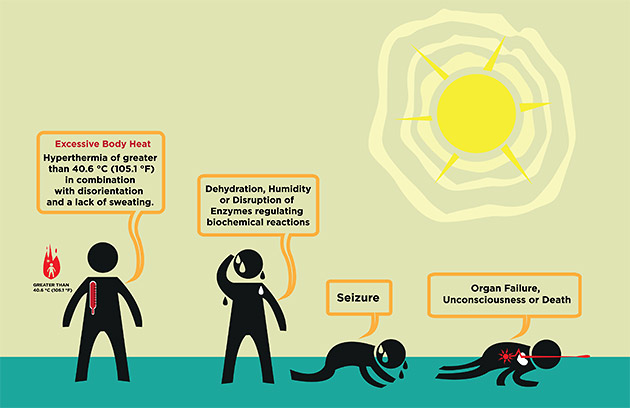 Diagram showing the stages of heatstroke