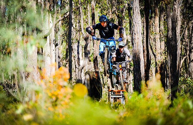 Mountain bike rider on a trail in Lake Leschenaultia