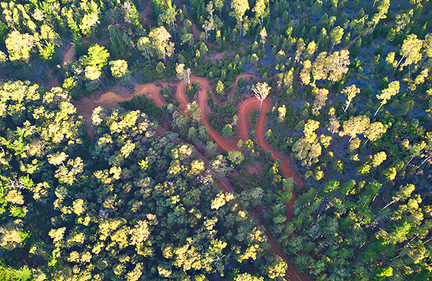 Mountain bike trail in Murray Valley