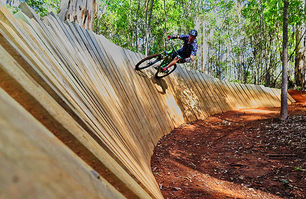 Mountain bike rider on a trail in Pemberton