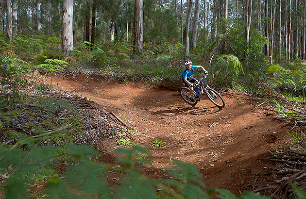 Pemberton mountain biking