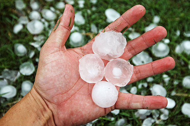 Holding golf ball-sized hailstones during the 2010 Perth hailstorm