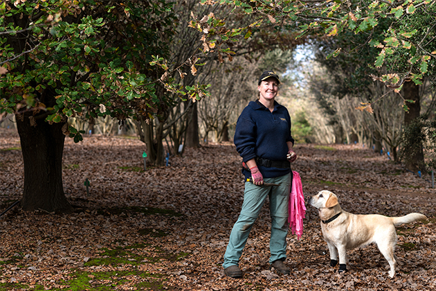 Image of woman with dog