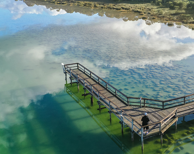 Man standing on boardwalk over thrombolites