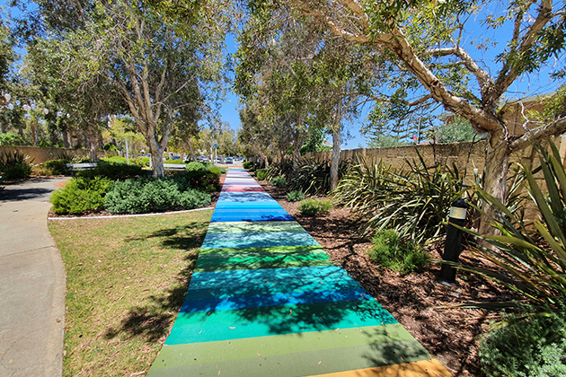 Image of a colourful pathway