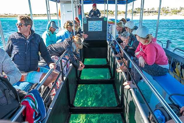 People look through a glass bottom boat