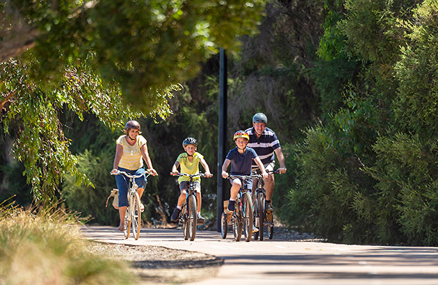 Family of four riding bikes