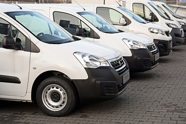 Row of white vans