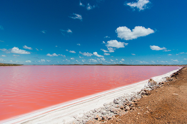 Pink lake