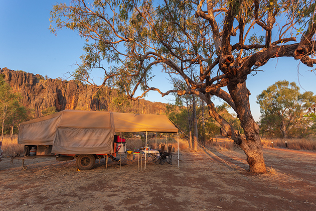 Camper trailer set up under a tree