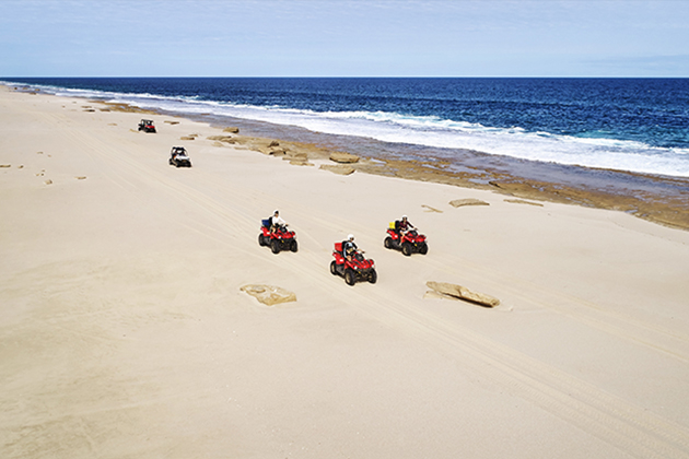 Buggies driving on sand dunes