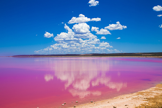 Pink lake