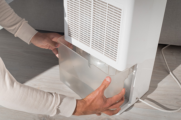 Person removing water from a dehumidifier