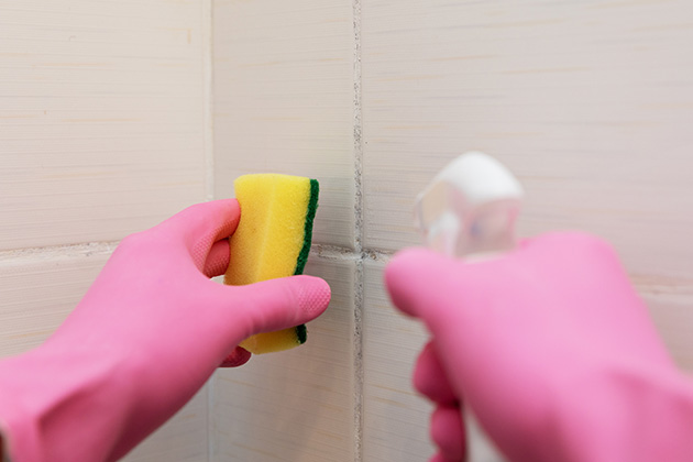 Person scrubbing mould off a wall