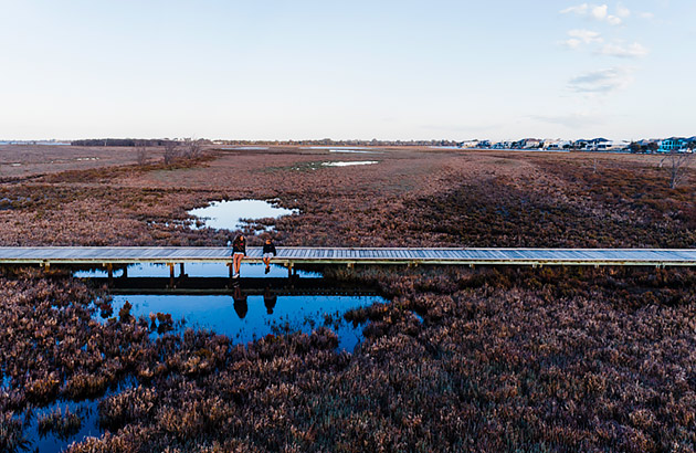 People sitting on boardwalk over wetland