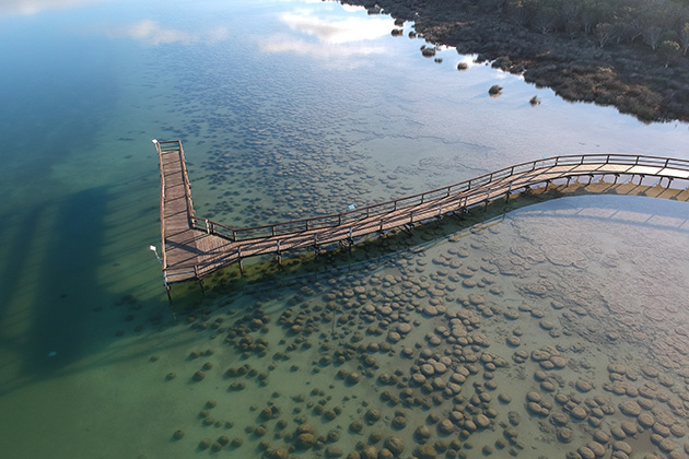 Aerial view of the thrombolite reef