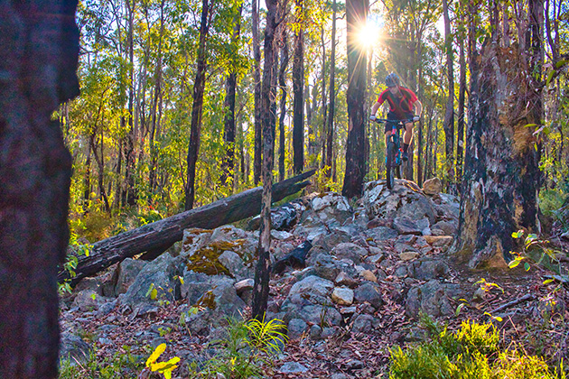 Man pedalling down mountain bike track