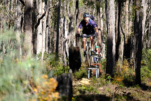 Main doing mountain bike jump in forest