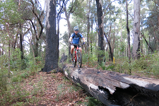 Person mountain biking over a log