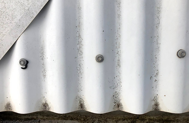 Rubber washers on a metal roof sheet