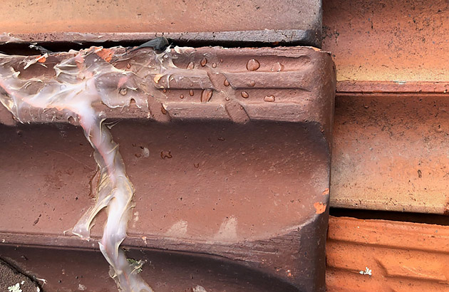 Broken sealant on a tile