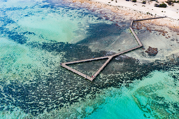 Image of stromatolites