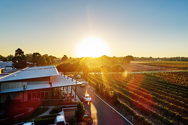 Cellar door at sunset