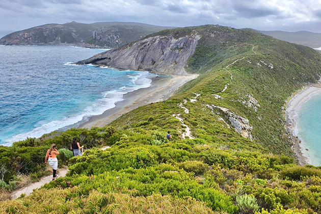 Image of a grassy walk trail