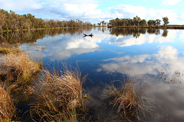 Image of a lake