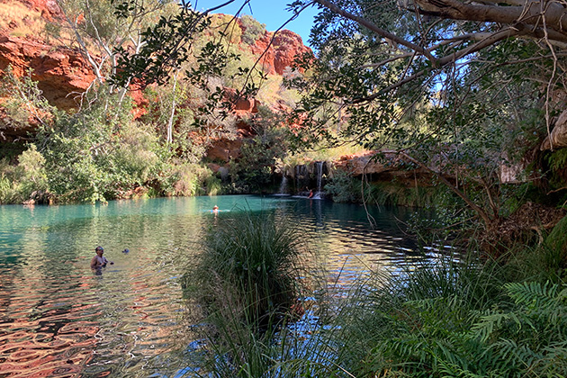 People swimming in a pool