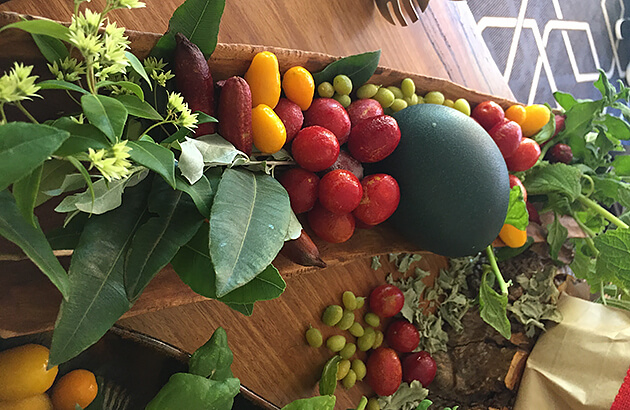 A selection of bush tucker fruits and vegetables