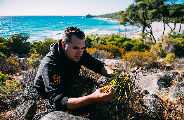 Josh Whiteland foraging for bush tucker