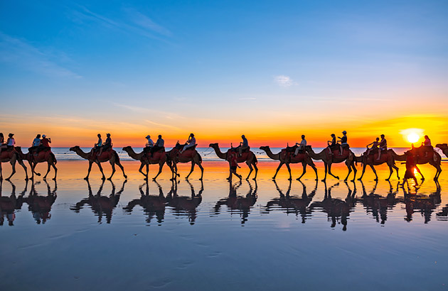 Cable Beach camels