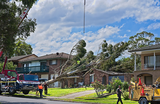A large tree that has fallen on a house being removed by crane