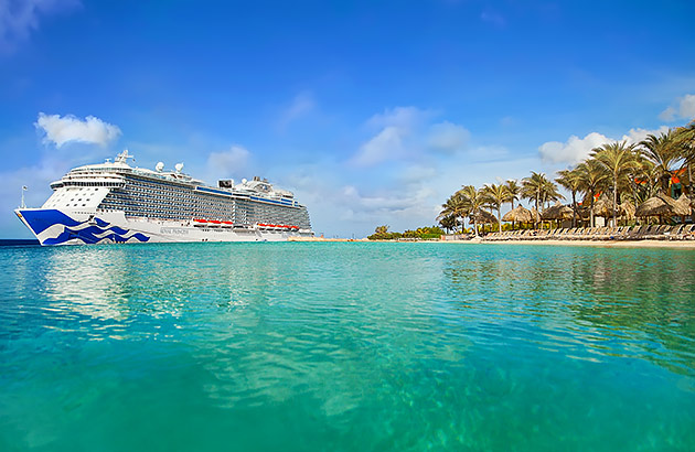 A cruise ship near a tropical coastline
