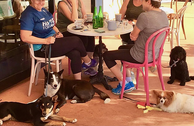 A group of women sitting at an outdoor cafe table with four dogs sitting around them