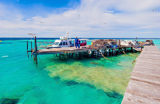 Jetty with boats