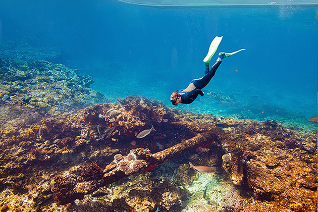 Diver exploring a wreck